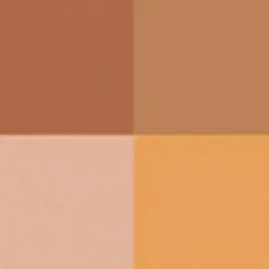 Ombre 4 Couleurs 07 bronze gradation 4 g