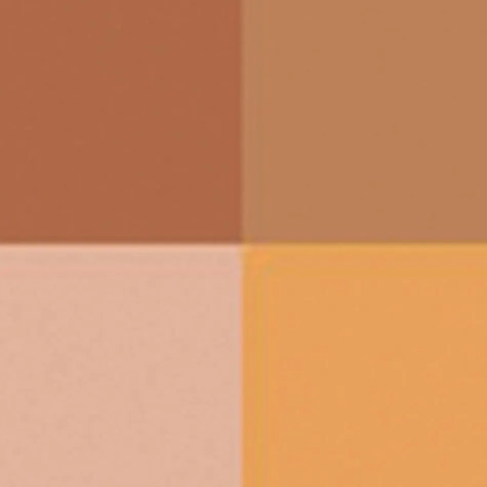 Ombre 4 Couleurs 07 bronze gradation 4 g