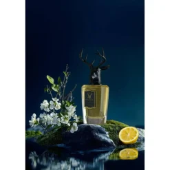 ONYX BLACK Extrait de Parfum 100 ml