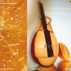 Orange Blossom Scented Reed Diffuser 150 ml