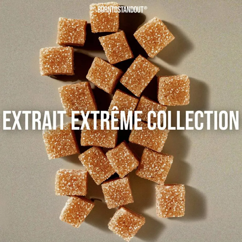 Oud Candy Extrait de Parfum 50 ml