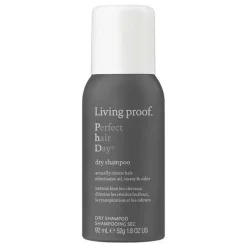 Perfect hair Day   Dry Shampoo