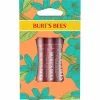 Petal Kisses Lip Shimmer Trio Set