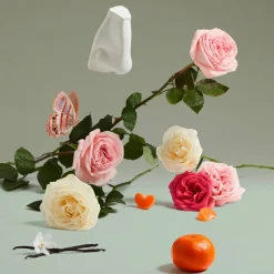 Portraits   The Coveted Duchess Rose Eau de Parfum 75 ml