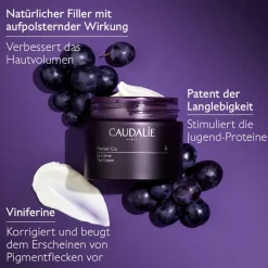 Premier Cru Die Creme 50 ml