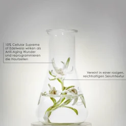 PRODIGY CELLGLOW Concentrate 50 ml