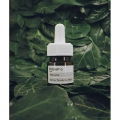 ReBalance Active Probiotic Mask 1 x 15 ml