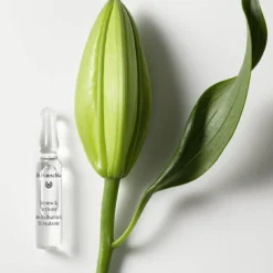 Renew & Activate Ampoules 28 x 2 ml