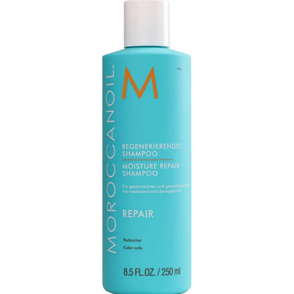 REPAIR Moisture Repair Shampoo 250 ml