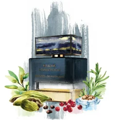 Reykjavik Eau de Parfum 50 ml
