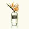Rose Arabia Collection   Ginger Extrait de Parfum 100 ml