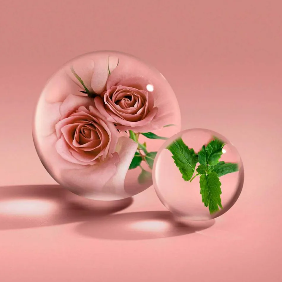 Rose Dunes Eau de Parfum 100 ml