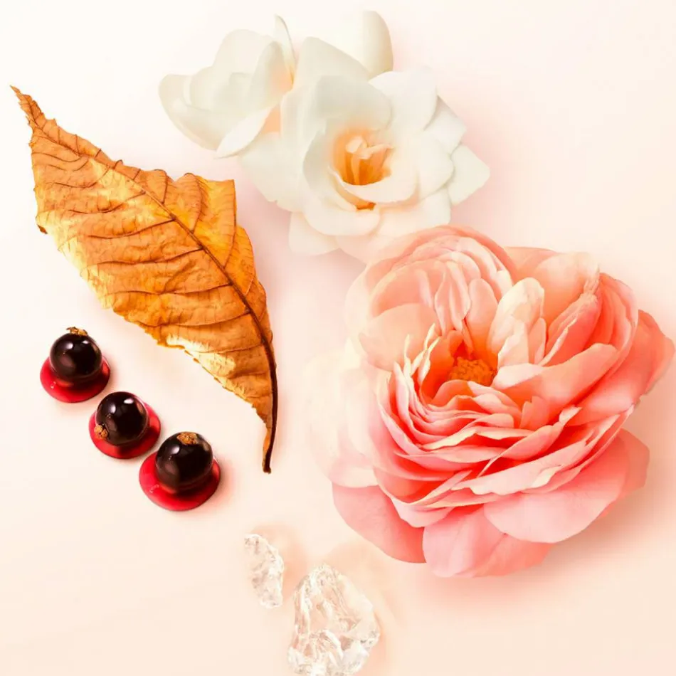 Sì Eau de Parfum Refill 100 ml