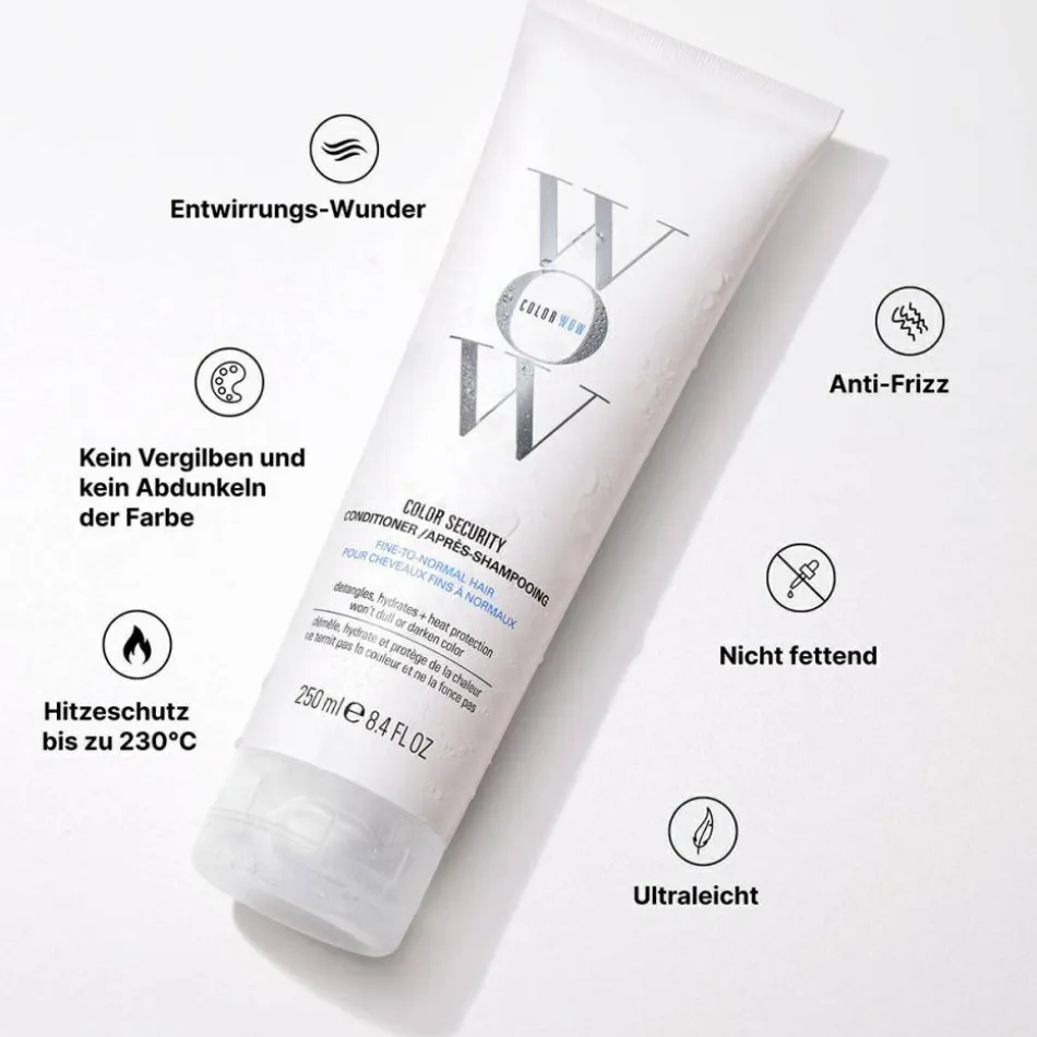 Security Conditioner Fine-Normal 250 ml