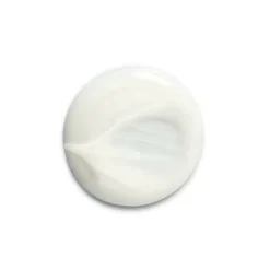 Silk Bloom   Restorative Shampoo 300 ml