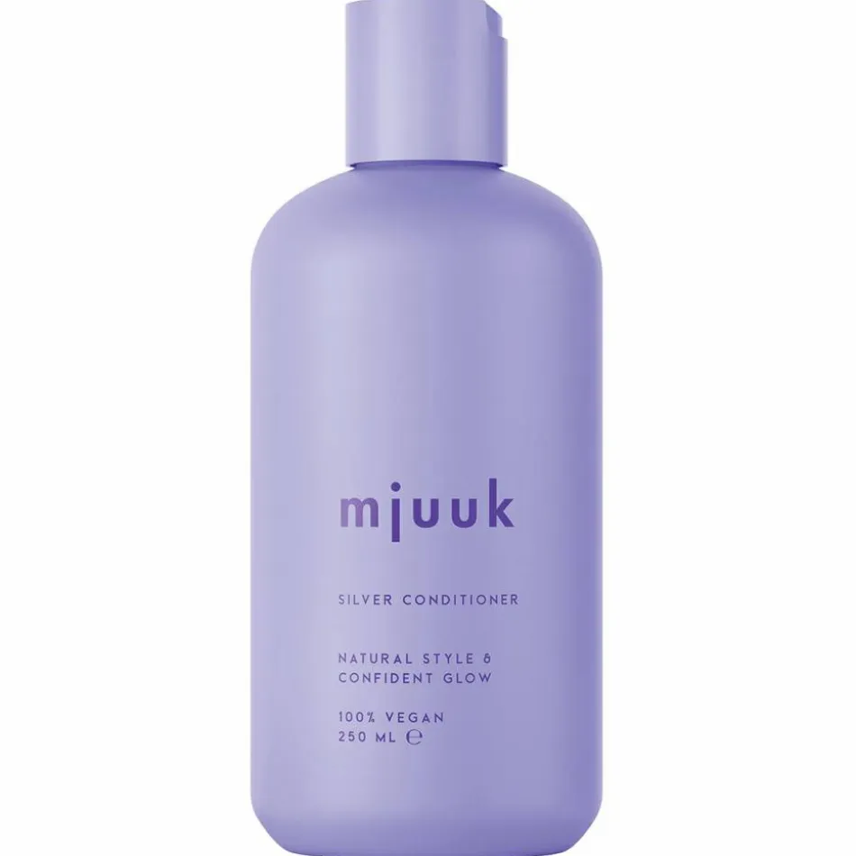 Silver Conditioner 250 ml