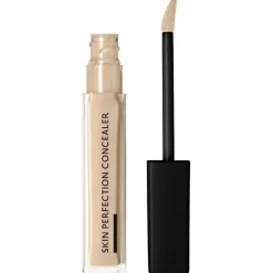 SKIN PERFECTION CONCEALER