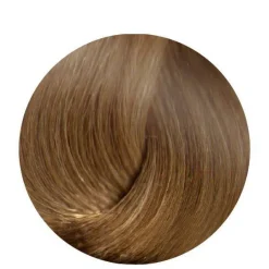 Style   Color Setting Lotion