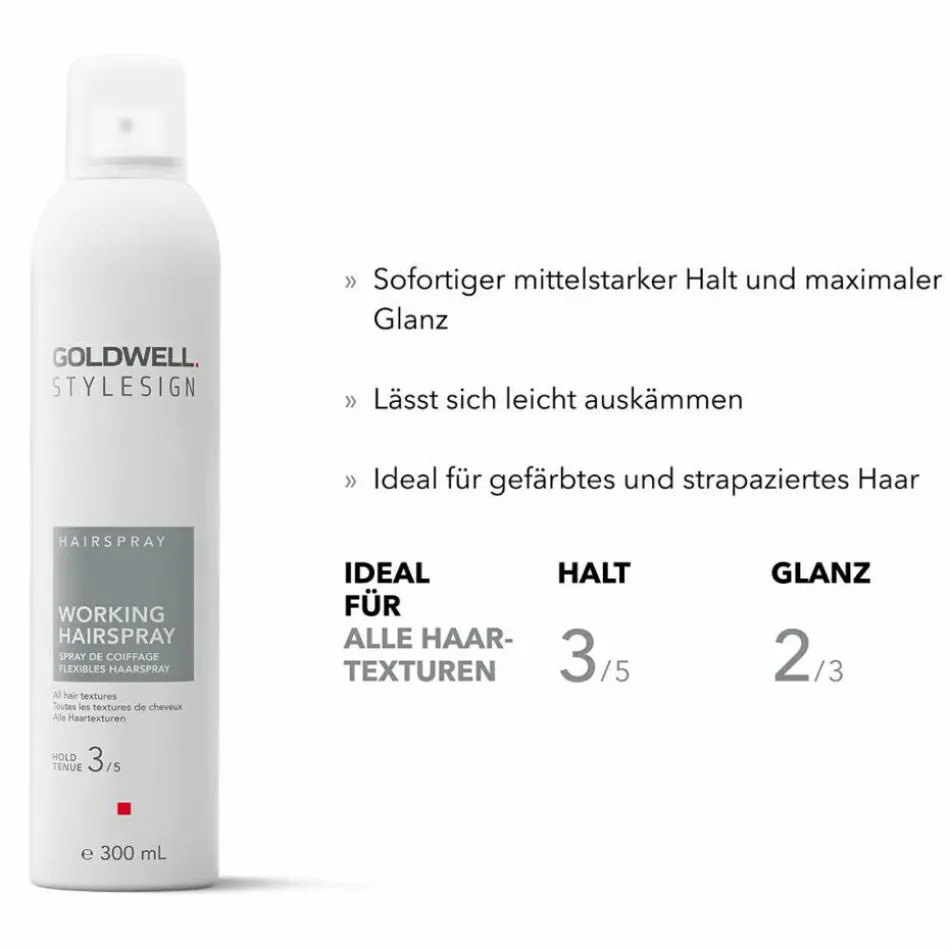 StyleSign Hairspray Flexibles Haarspray