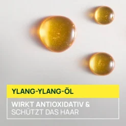Sublime Karité Bändigende Pflege-Milch für professionelles Styling 100 ml