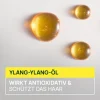 Sublime Karité   Glättende Creme für professionelles Styling 100 ml