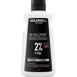System Developer
