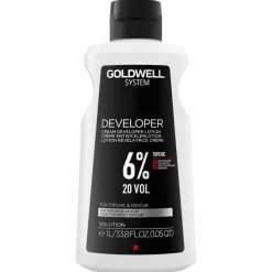 System Developer