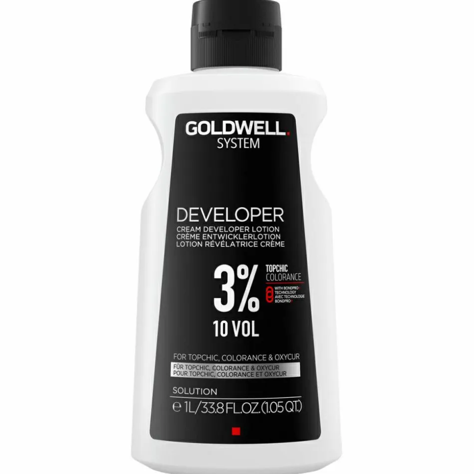 System Developer