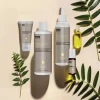 Teebaumöl   Hair & Scalp Balance Set