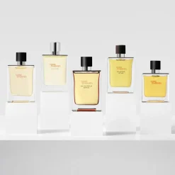 Terre d’Hermès   Eau de Parfum Intense Refill 200 ml