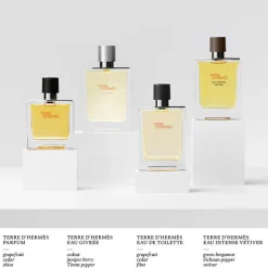 Terre d’Hermès   Eau Givrée Eau de Parfum 175 ml