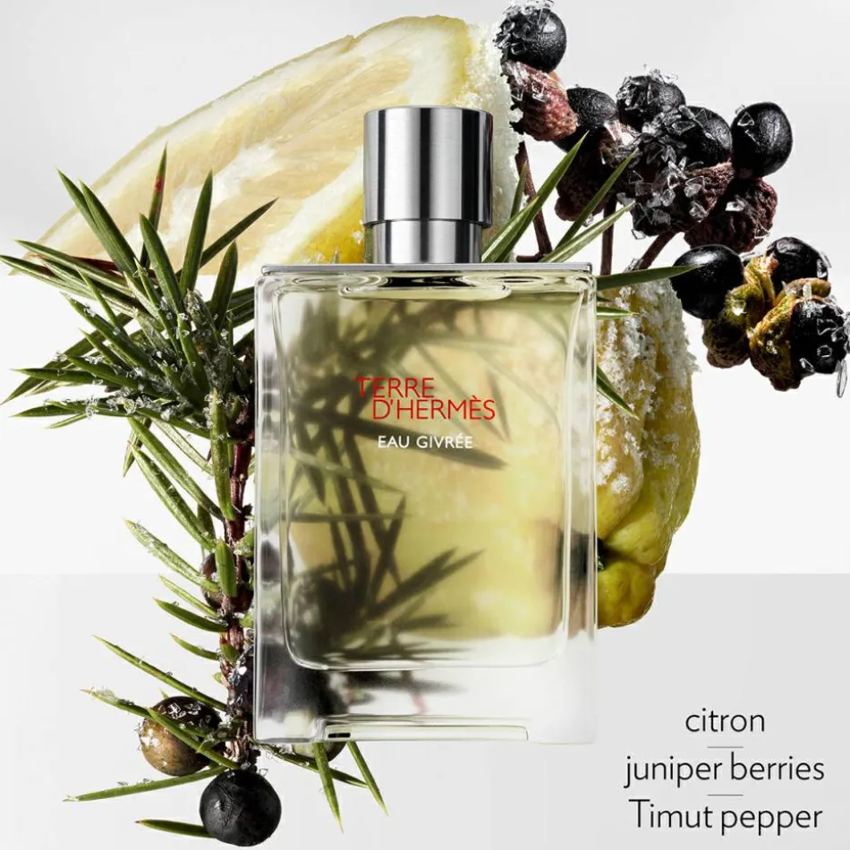 Terre d’Hermès Eau Givrée Eau de Parfum Refill 200 ml