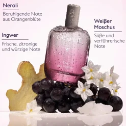 Thé des Vignes   Eau Fraîche
