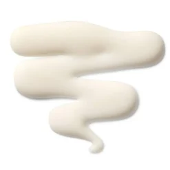 The Leave-In Hair Treatment 100 ml