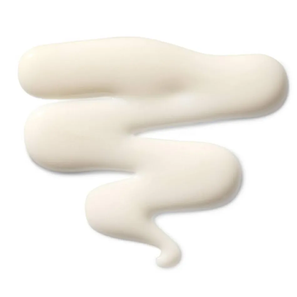 The Leave-In Hair Treatment 100 ml