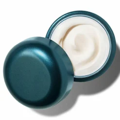 The Rejuvenating Night Cream