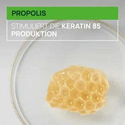 Triphasic   Reactional Kur bei temporärem Haarausfall 12 x 5 ml