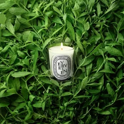 Verveine Classic Candle 190 g