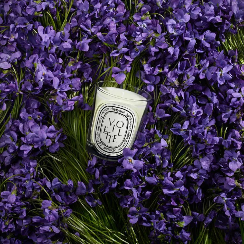 Violette Classic Candle 190 g