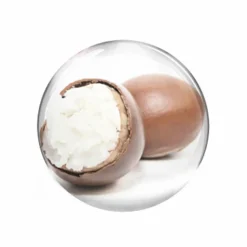 Vitality Regenera I Rich 50 ml