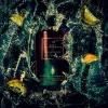 ZEST DI SORRENTO Eau de Parfum 100 ml